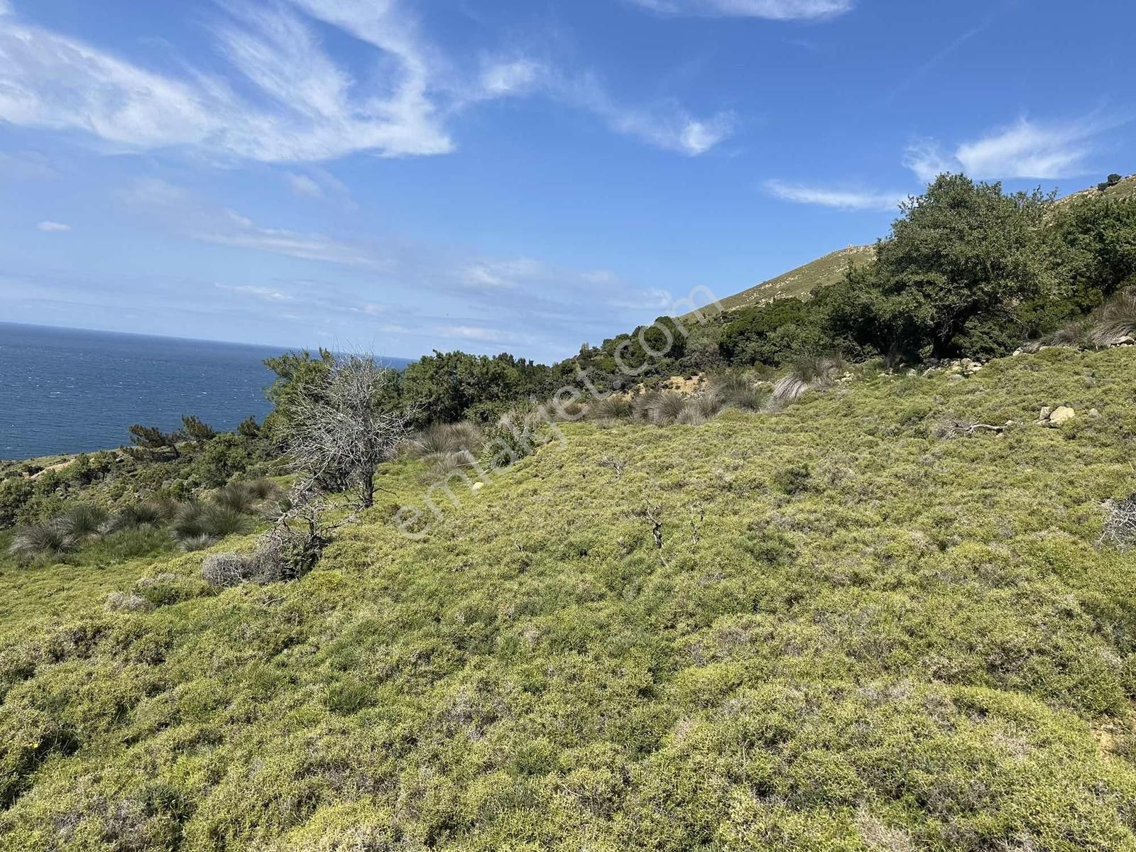 İmroz Emlak'tan Mesadi Mevkii'de Deniz Manzaralı 1.047 M2 Tarla - Görsel 22