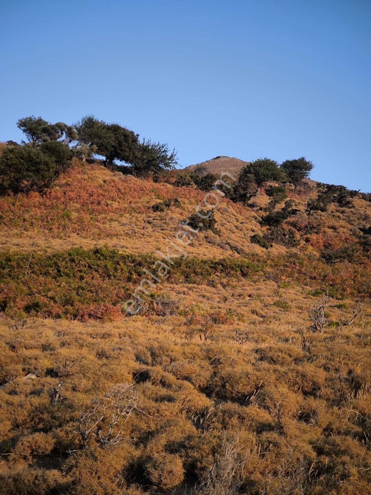 İmroz Emlak'tan Mesadi Mevkii'de 1.112 M2 Deniz Manzaralı Arazi - Görsel 6