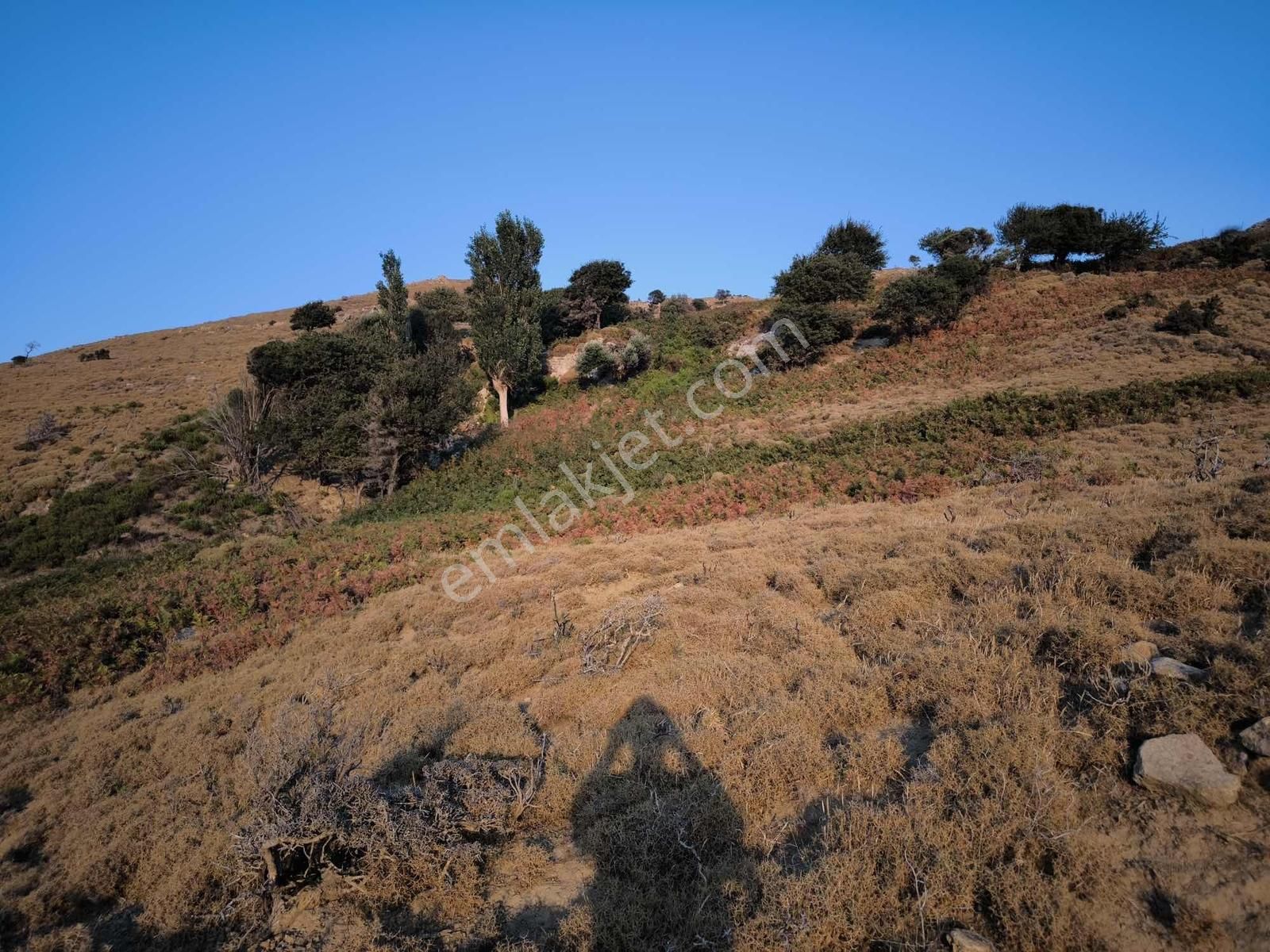 İmroz Emlak'tan Mesadi Mevkii'de 1.112 M2 Deniz Manzaralı Arazi - Görsel 9