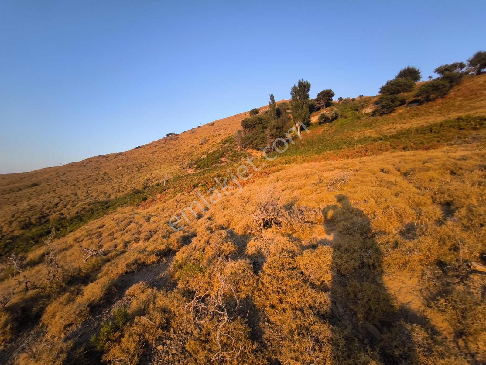 İmroz Emlak'tan Mesadi Mevkii'de 1.112 M2 Deniz Manzaralı Arazi - Görsel 12