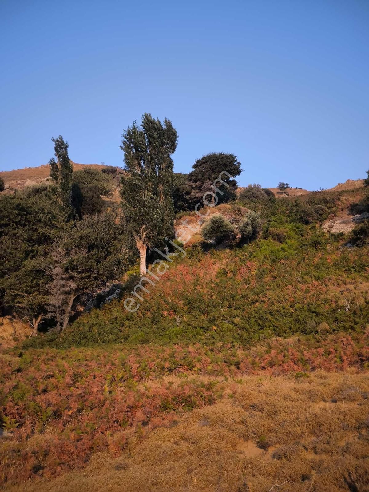 İmroz Emlak'tan Mesadi Mevkii'de 1.112 M2 Deniz Manzaralı Arazi - Görsel 2