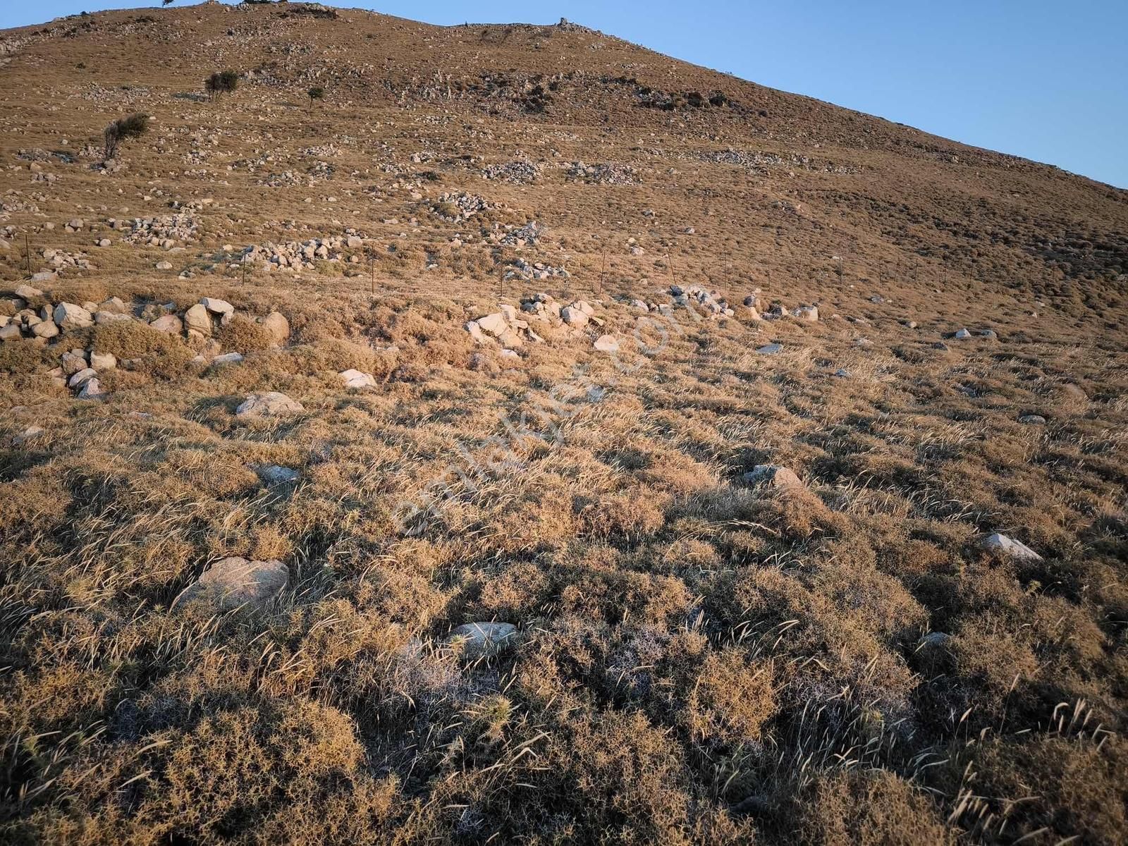 İmroz Emlak'tan Mesadi Mevkii'de 850 M2 Deniz Manzaralı Arazi - Görsel 16