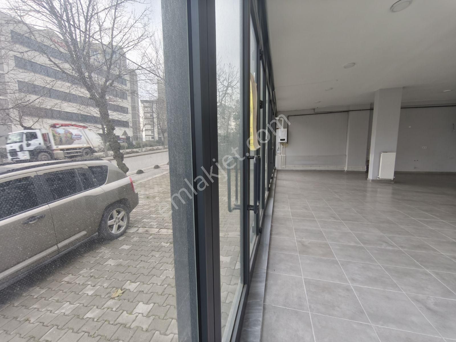 Otoban Ve Kuzey Marmara Girişinde 400m² Depo Girişli Dükkan - Görsel 15