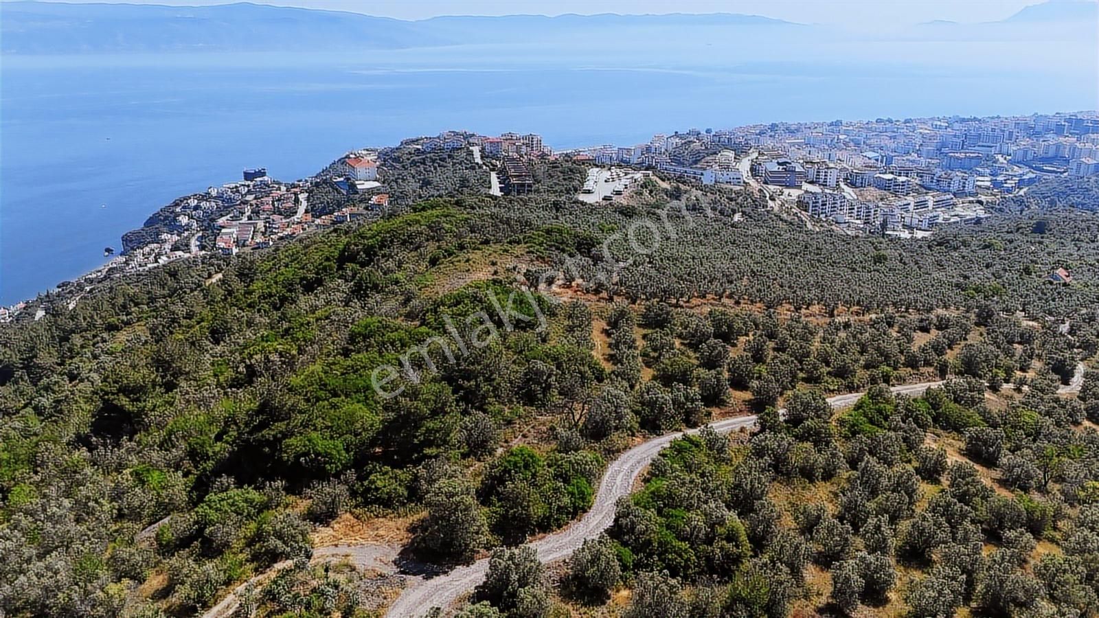 Emlakhabercisi'nden Mudanya İmara 400 Metre Yatırımlık Zeytinlik - Görsel 12