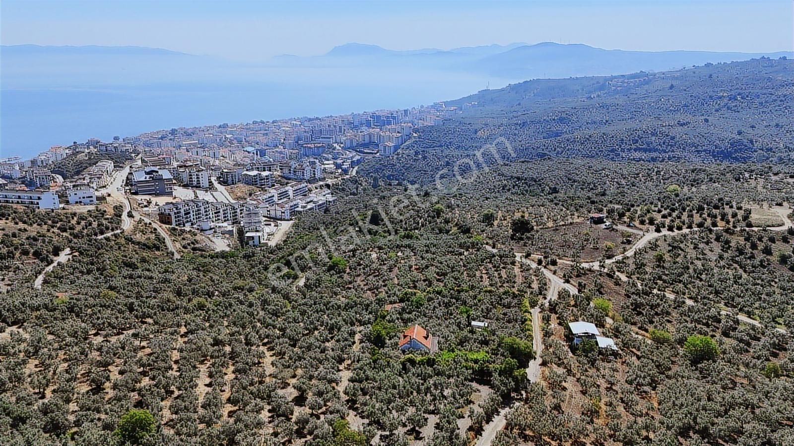 Emlakhabercisi'nden Mudanya İmara 400 Metre Yatırımlık Zeytinlik - Görsel 10
