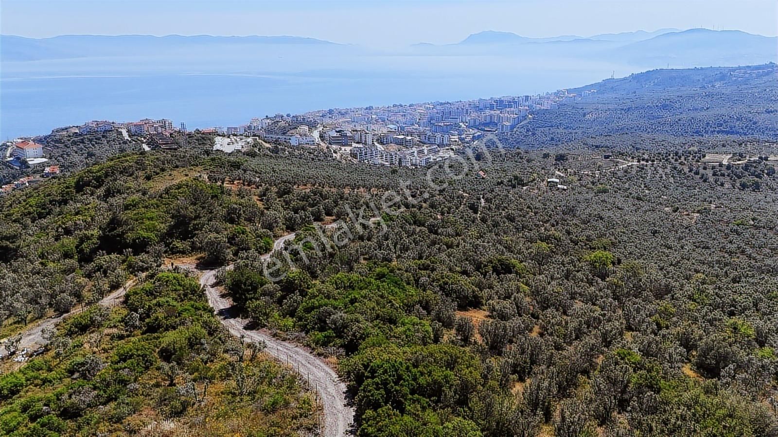 Emlakhabercisi'nden Mudanya İmara 400 Metre Yatırımlık Zeytinlik - Görsel 4