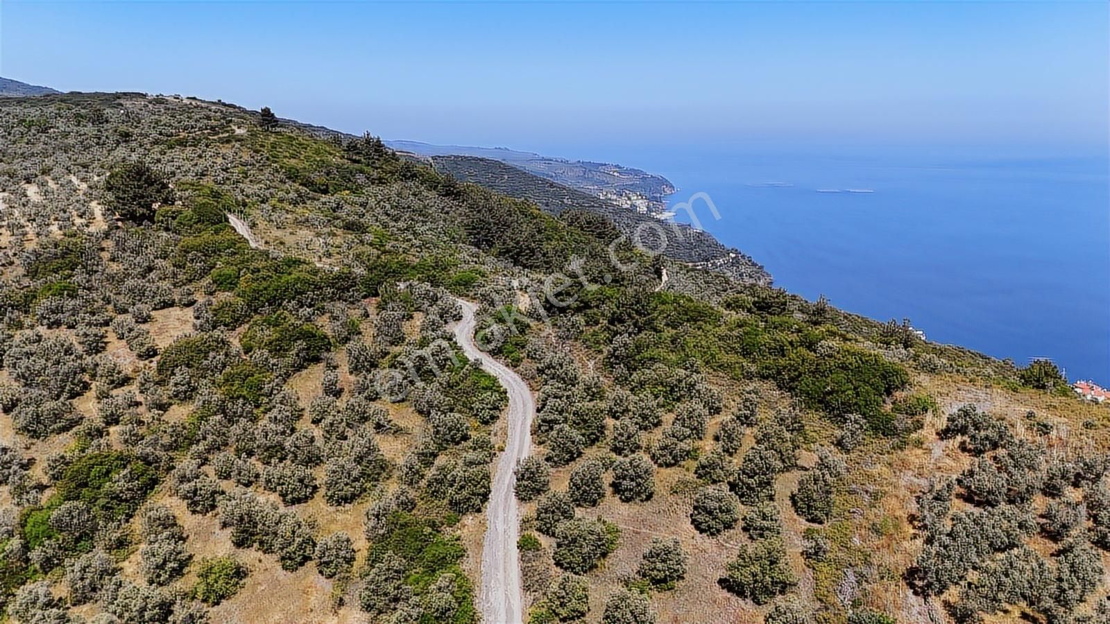 Emlakhabercisi'nden Mudanya İmara 400 Metre Yatırımlık Zeytinlik - Görsel 3