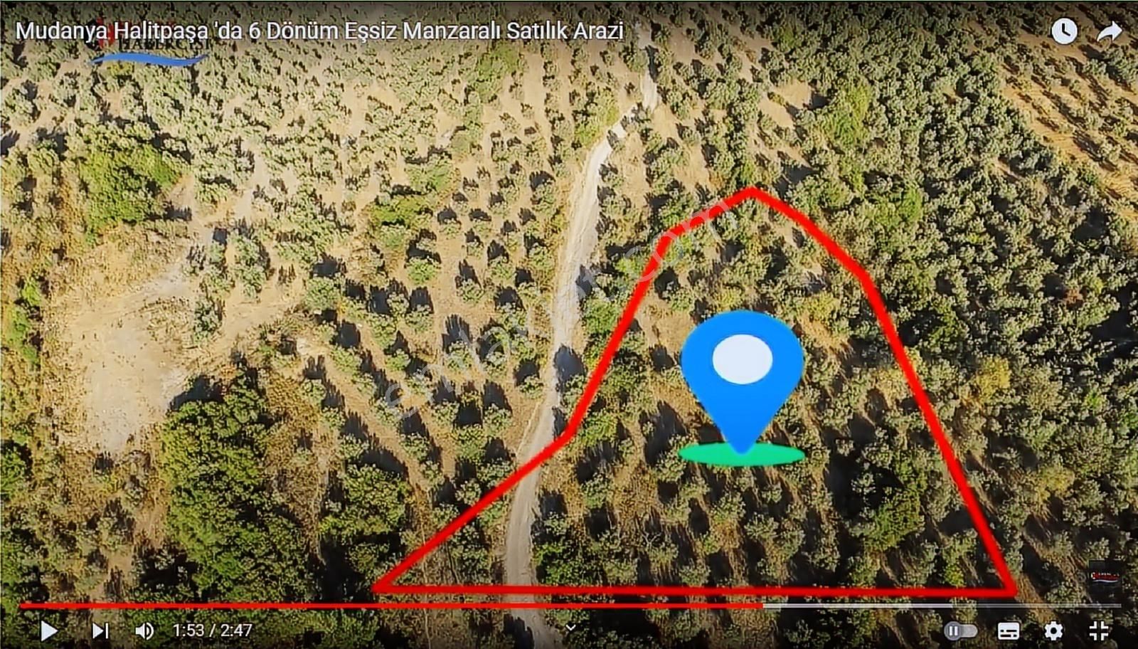 Emlakhabercisi'nden Mudanya İmara 400 Metre Yatırımlık Zeytinlik - Görsel 14