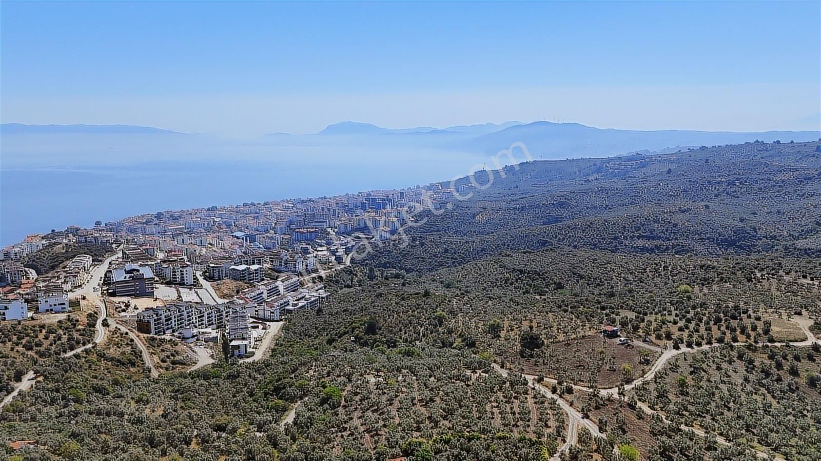 Emlakhabercisi'nden Mudanya İmara 400 Metre Yatırımlık Zeytinlik - Görsel 11