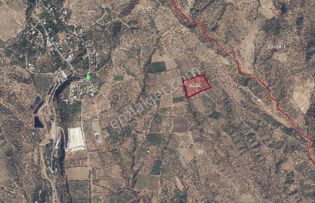 İsabeyli Yeşildere'de Satılık Zeytinlik - Görsel 20
