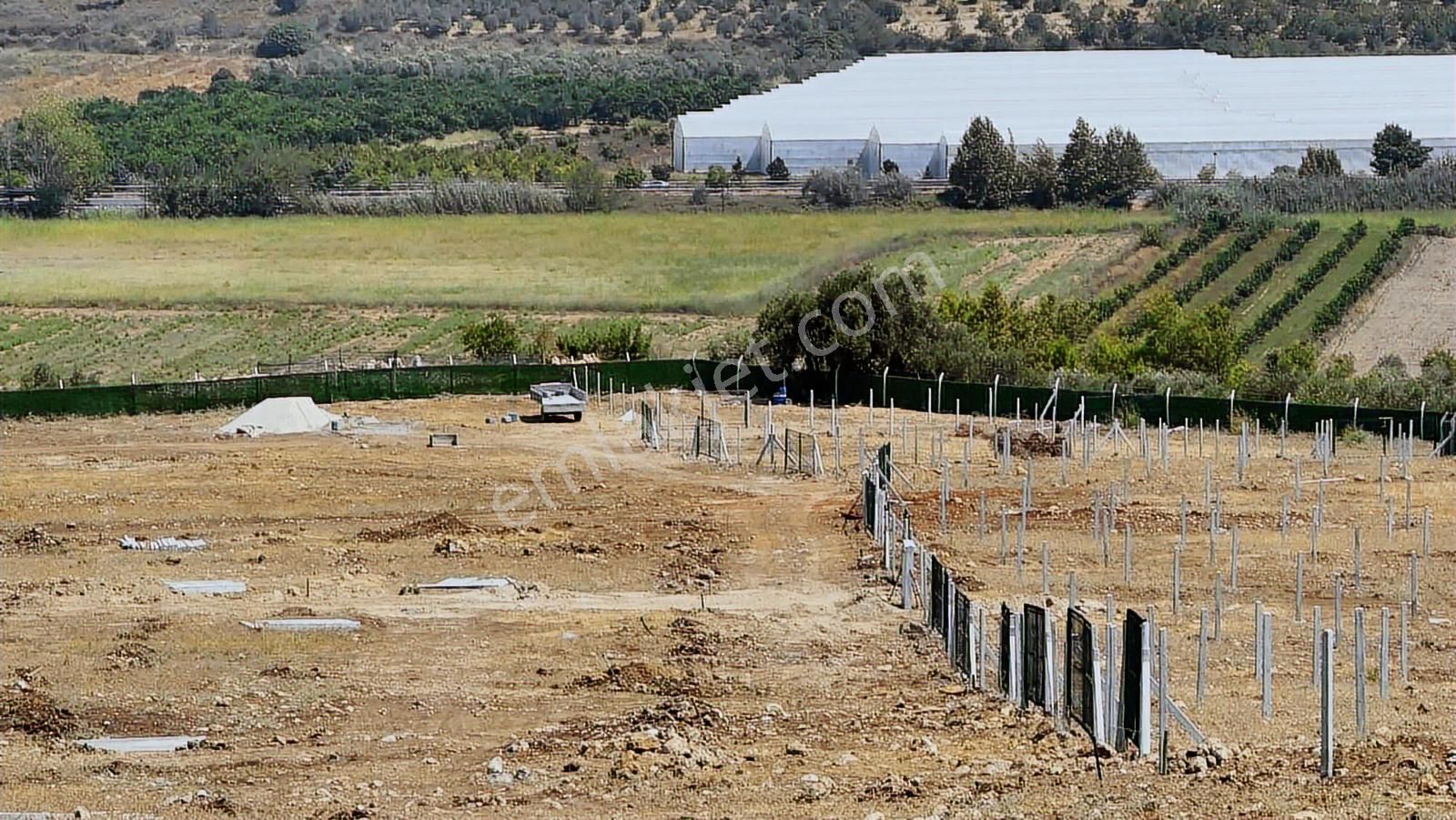 Manavgat Hocalar Deniz Tarafı 378 Metre Tapulu Arsa - Görsel 4