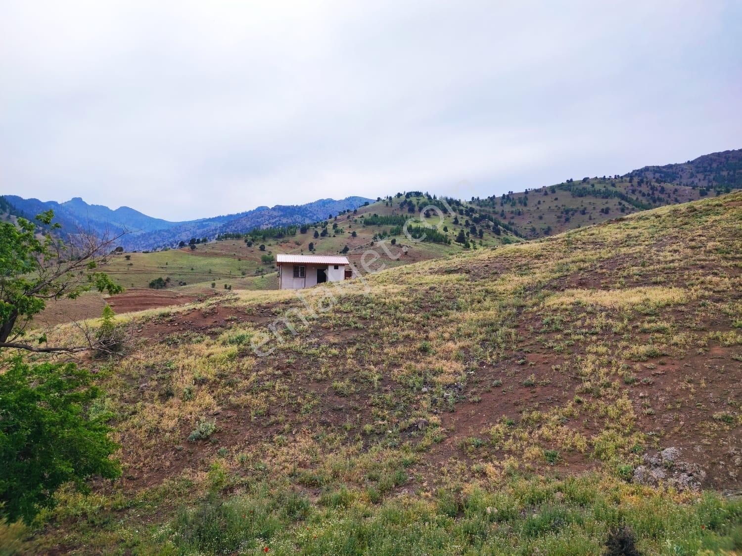 Kar Emlaktan Kamışlı Yaylasında İmara Uygun 1650 M2 Satılık Tarla - Görsel 24