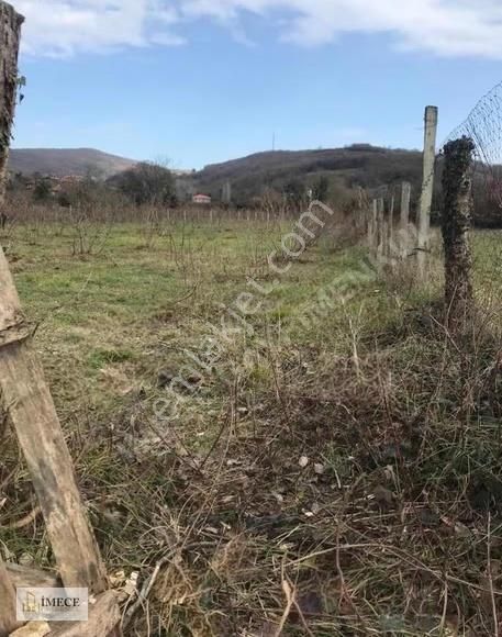 Bartın Arıönünde Denizin Mavisi Ve Doğanın Yeşili Birleştiği Yer - Görsel 7