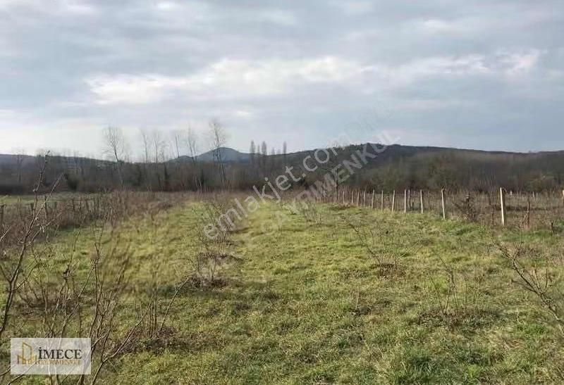 Bartın Arıönünde Denizin Mavisi Ve Doğanın Yeşili Birleştiği Yer - Görsel 11