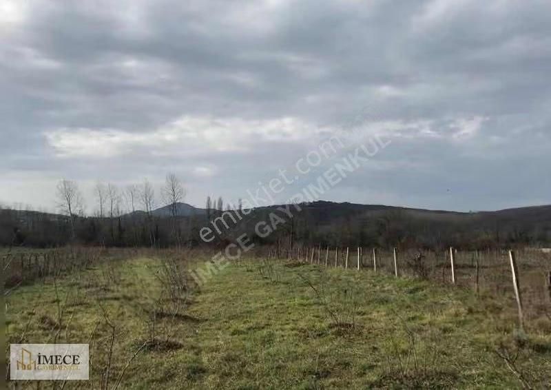 Bartın Arıönünde Denizin Mavisi Ve Doğanın Yeşili Birleştiği Yer