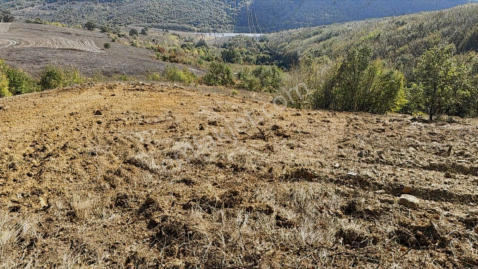 İzmit Kısalar Mh 9.620 M2 Resmi Yollu Satılık Arazi - Görsel 2