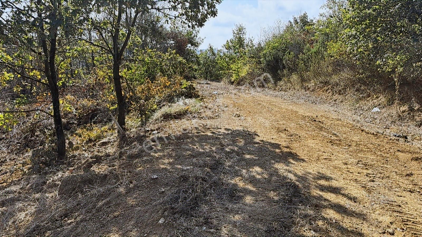 İzmit Kısalar Mh 9.620 M2 Resmi Yollu Satılık Arazi - Görsel 10