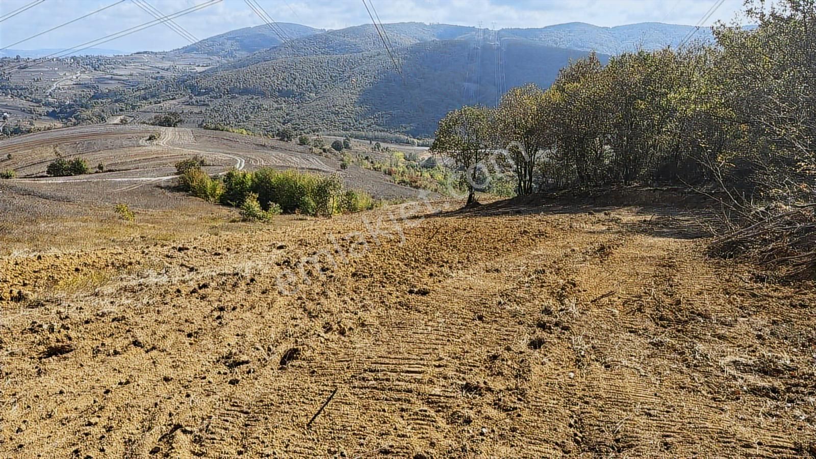 İzmit Kısalar Mh 9.620 M2 Resmi Yollu Satılık Arazi - Görsel 6