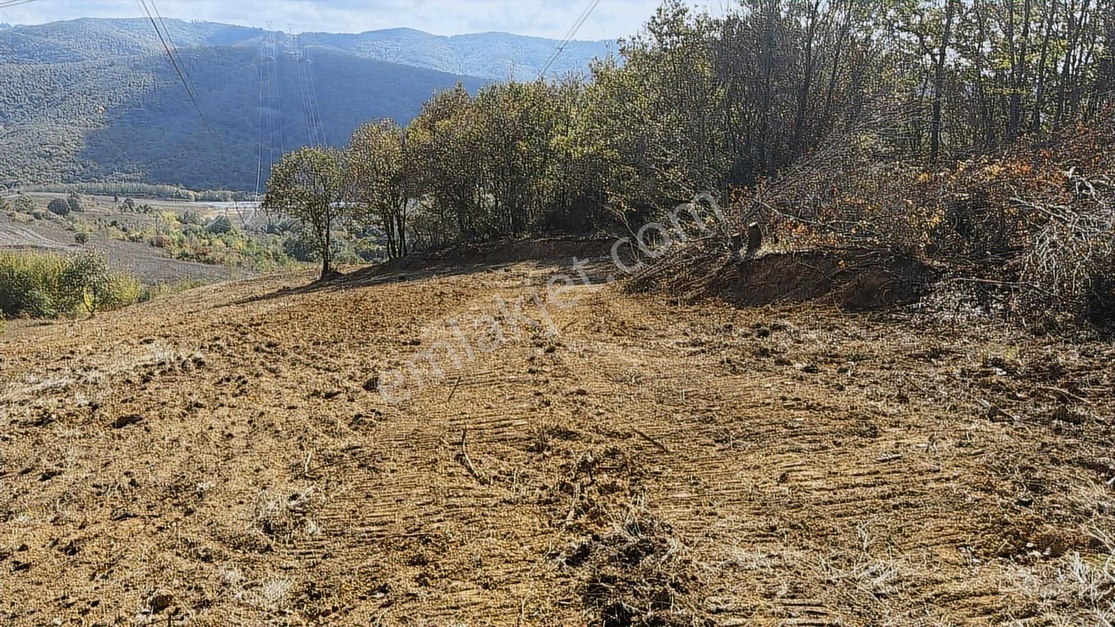 İzmit Kısalar Mh 9.620 M2 Resmi Yollu Satılık Arazi - Görsel 7