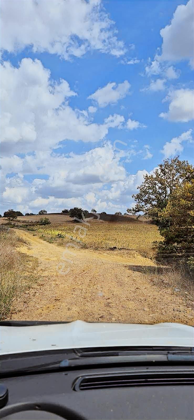 Kandıra Selimköy 6.219 M2 Resmi Yollu Takaslı Satılık Arazi - Görsel 28