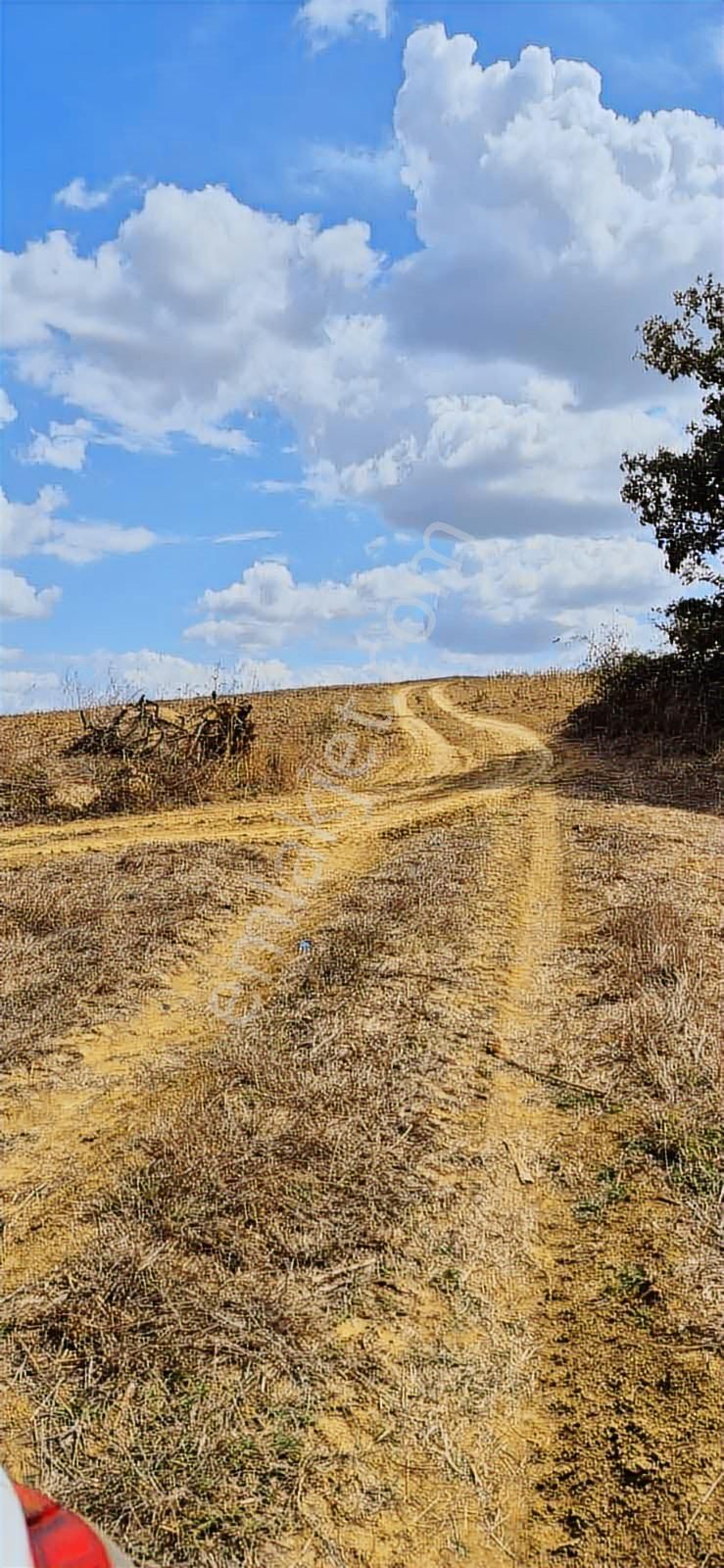 Kandıra Selimköy 6.219 M2 Resmi Yollu Takaslı Satılık Arazi - Görsel 9