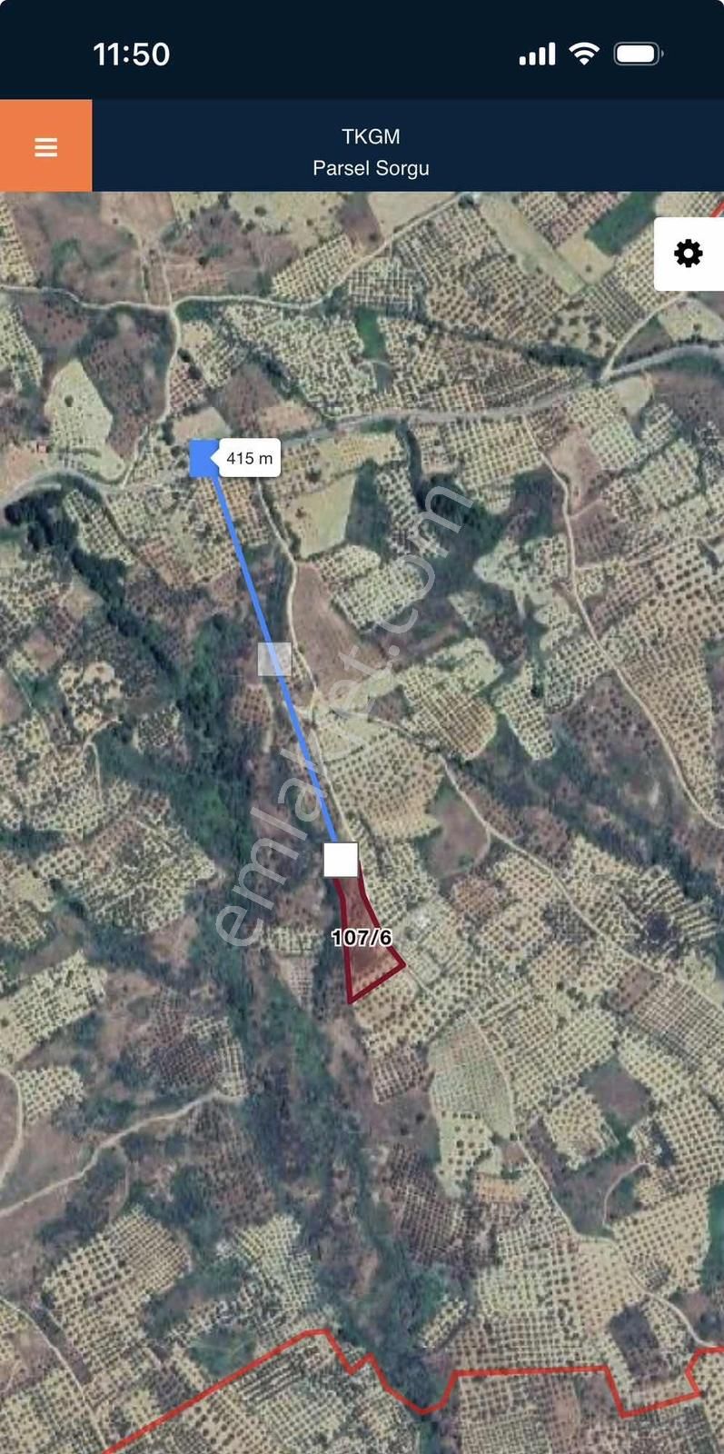 Şarköy Yukarıkalamış'ta 3991m2 Zeytinlik - Görsel 2