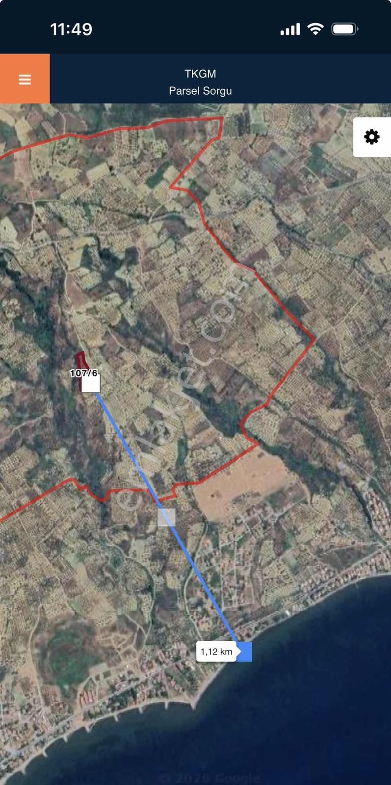 Şarköy Yukarıkalamış'ta 3991m2 Zeytinlik - Görsel 3