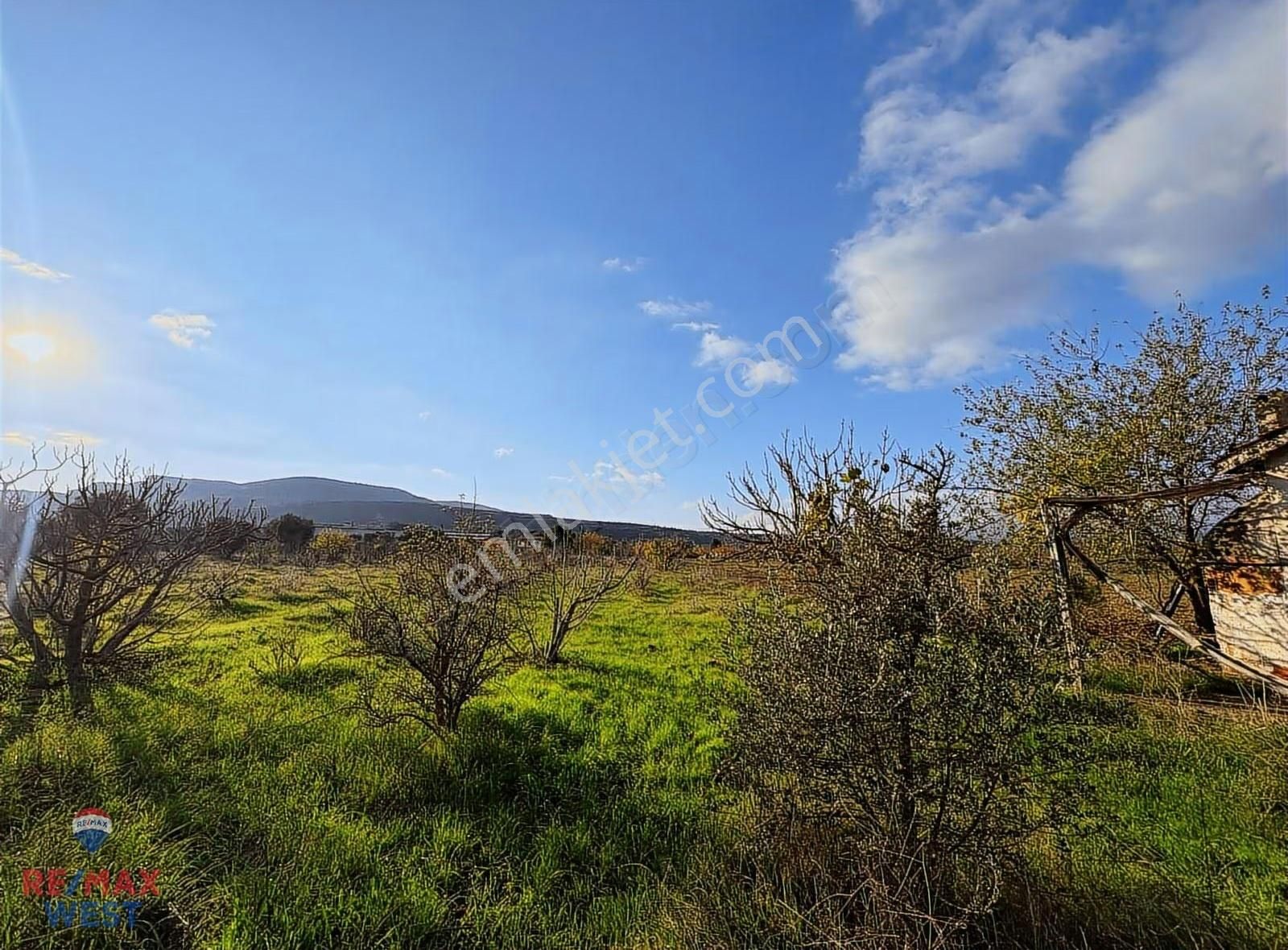 Kemalpaşa Ulucakta Satılık 4000 M2tarla +40 M2 Yapı Kayıtlı Ev - Görsel 7