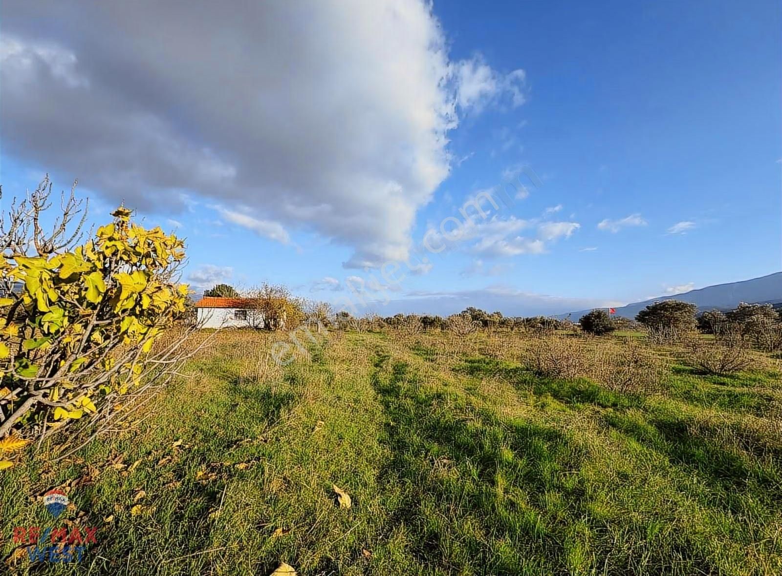 Kemalpaşa Ulucakta Satılık 4000 M2tarla +40 M2 Yapı Kayıtlı Ev - Görsel 4