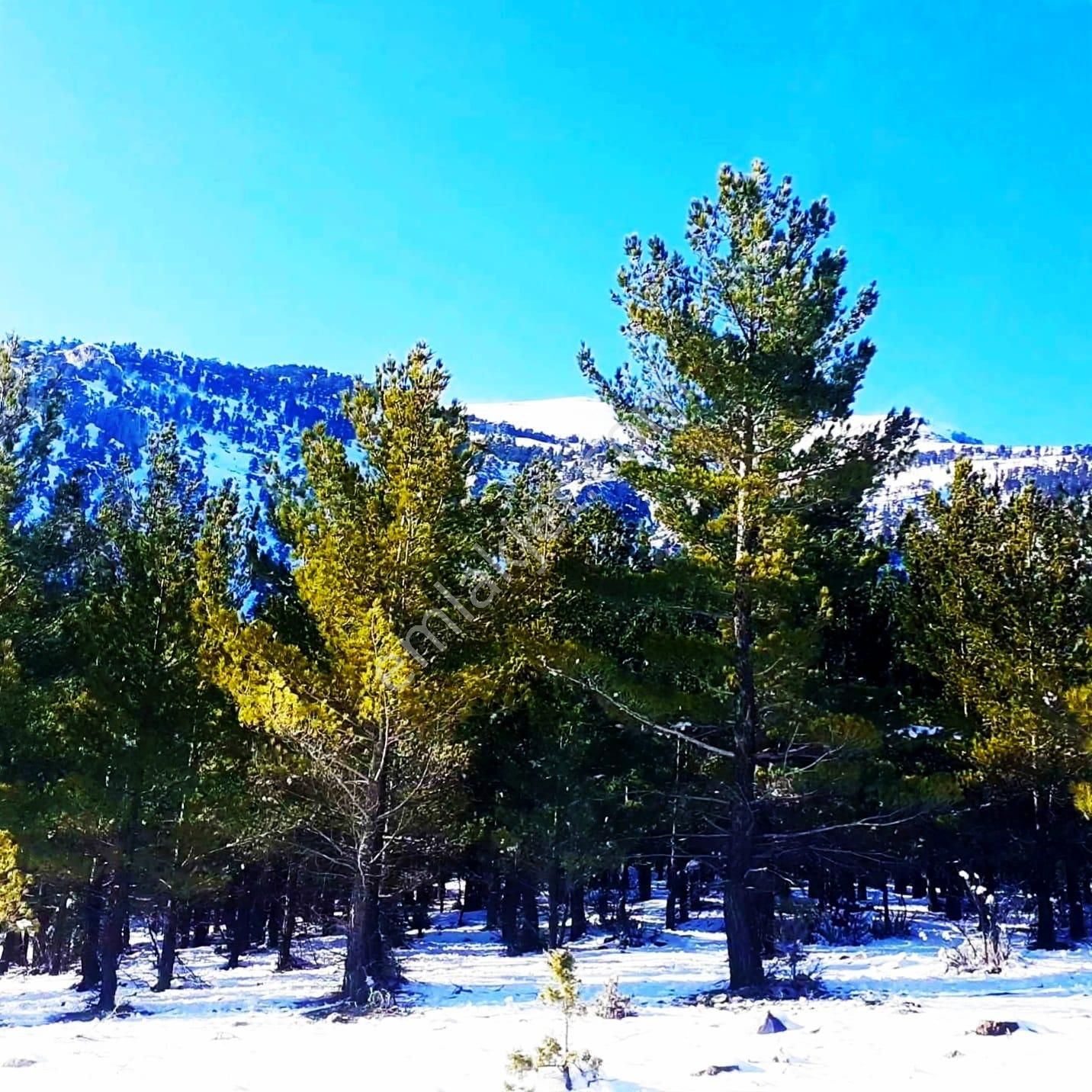 Kar Emlaktan Yenikonacık Efes Sitesinin Üzerinde 400 M2 Satılık Arsa - Görsel 22