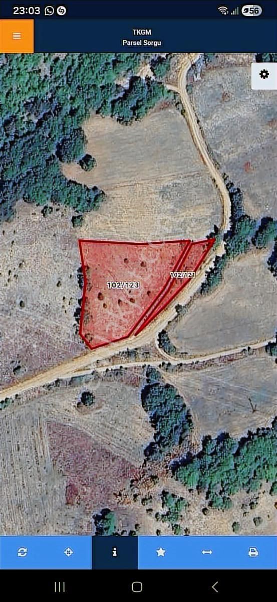 Bolu Mudurnu Dereköy Satılık Tarla