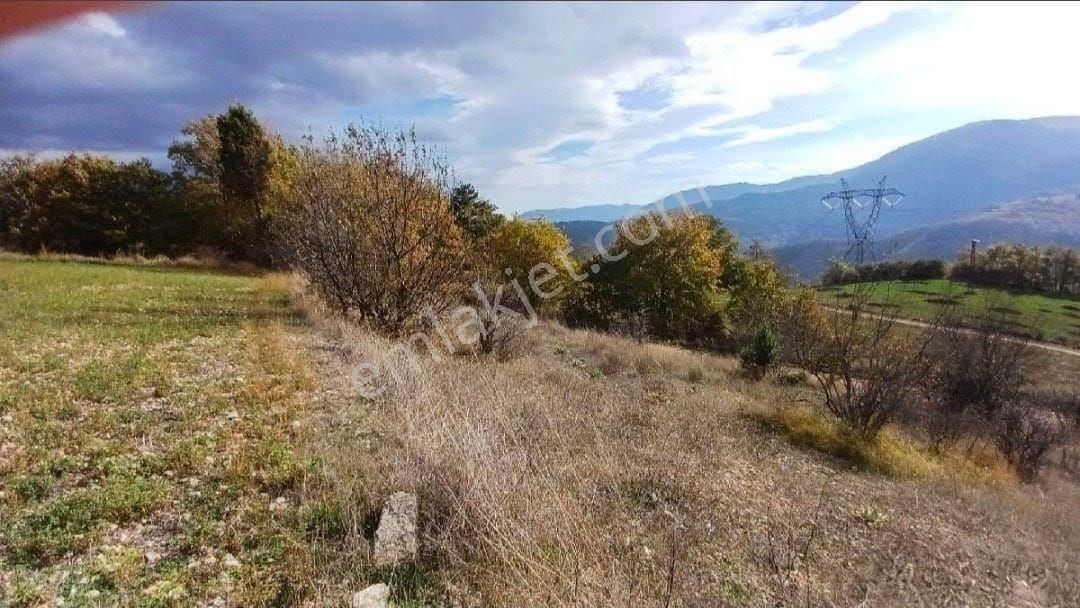 Bolu Mudurnu Dereköy Satılık Tarla - Görsel 5