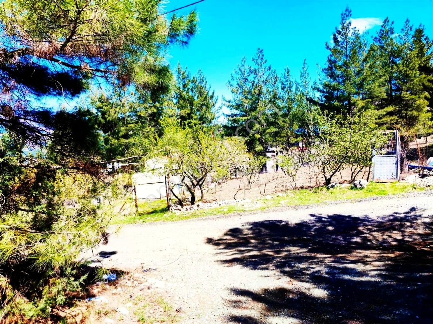 Kar Emlaktan Eskikonacık Çayır Yaylasında 1 Dönüm Satılık Arsa - Görsel 22