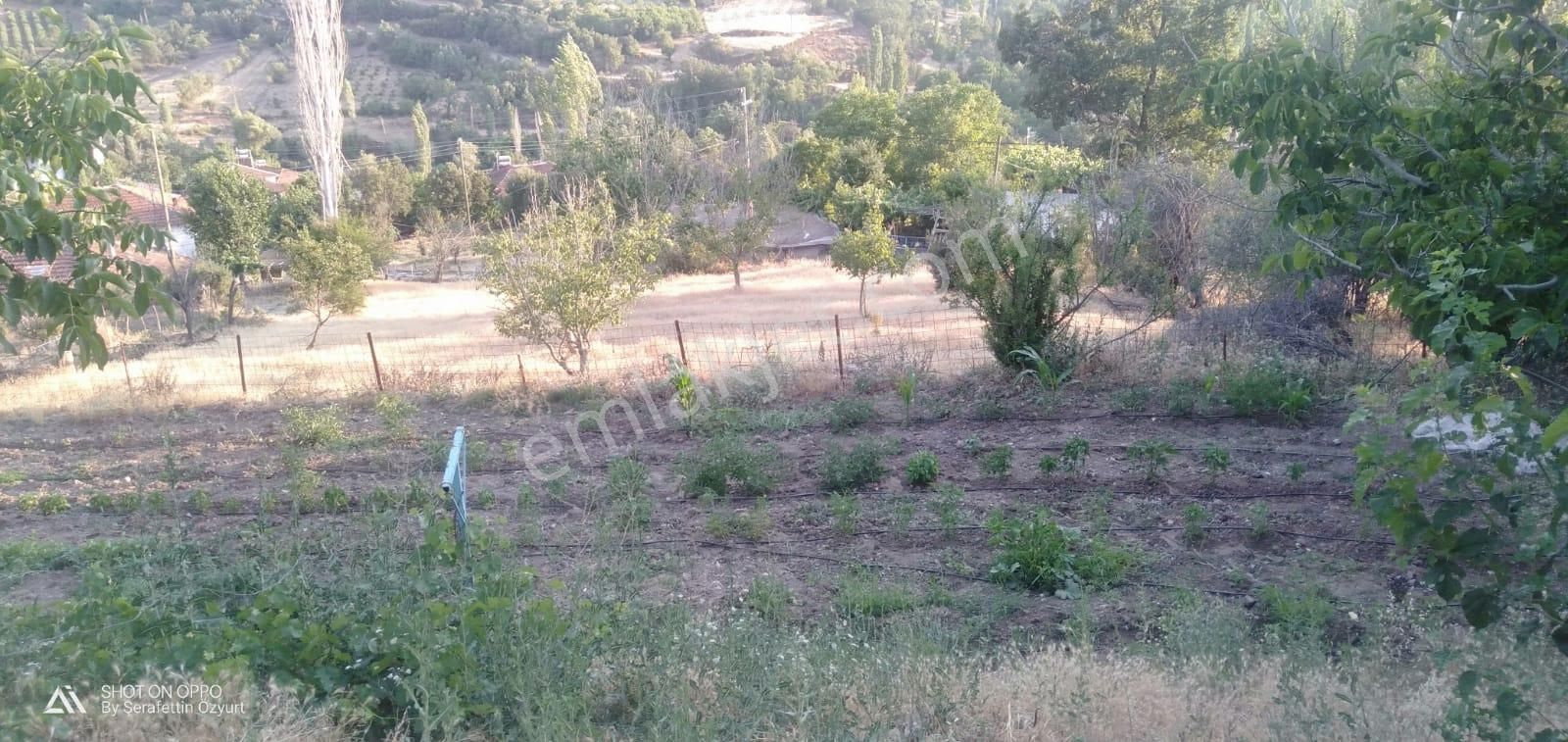 Burdur Merkez Kavacık'ta Doğa İçinde Tam Müstakil Villa + Bahçe - Görsel 15