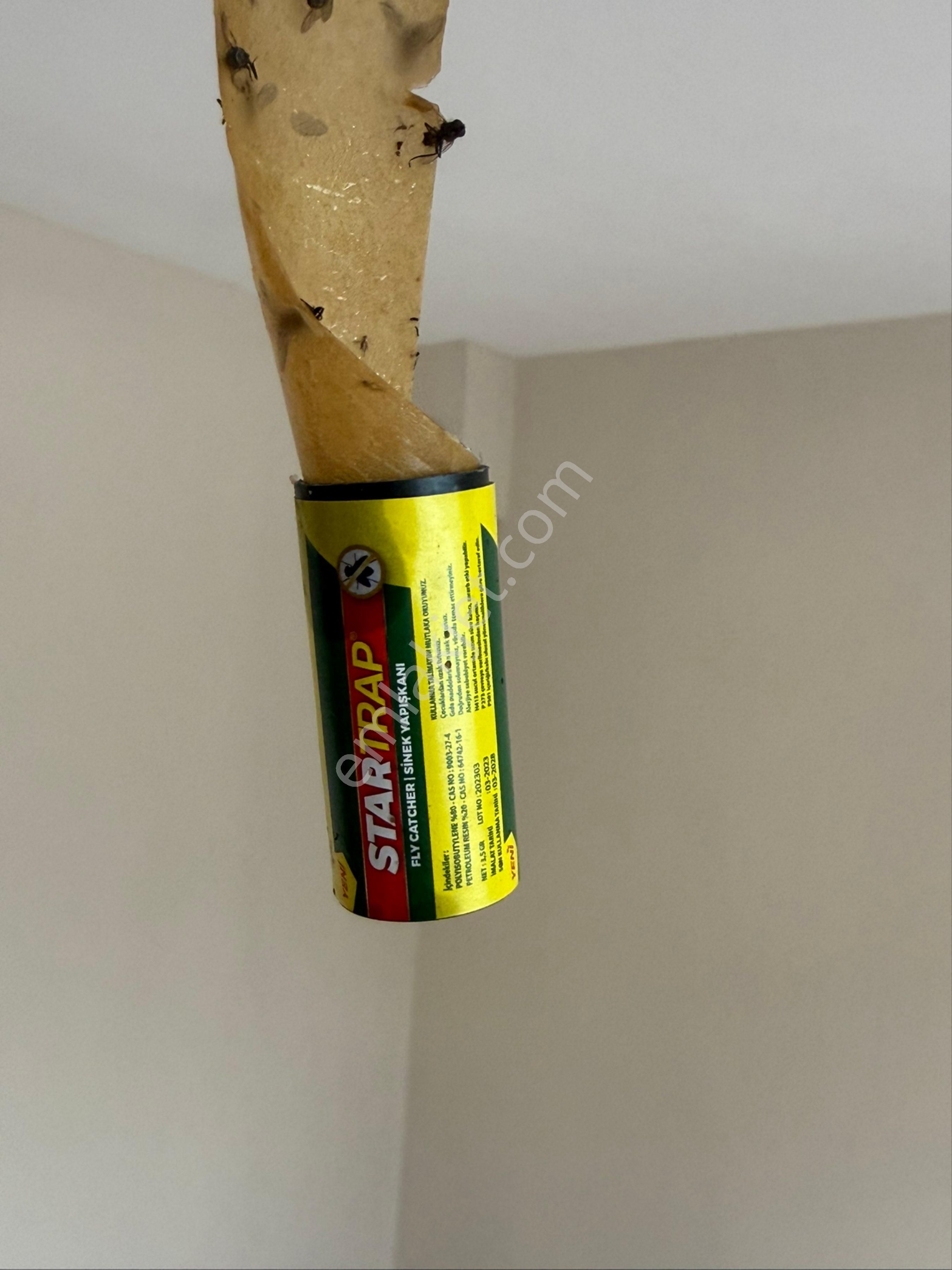 İzmir Bayraklı Çaymahalesin’de Kiralık 2+1 Geniş Daire Balkonlu Arakat - Görsel 19