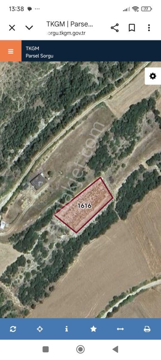 Keşan Suluca Da Satılık Yatırımlık Müstakil Parsel Tarla - Görsel 2