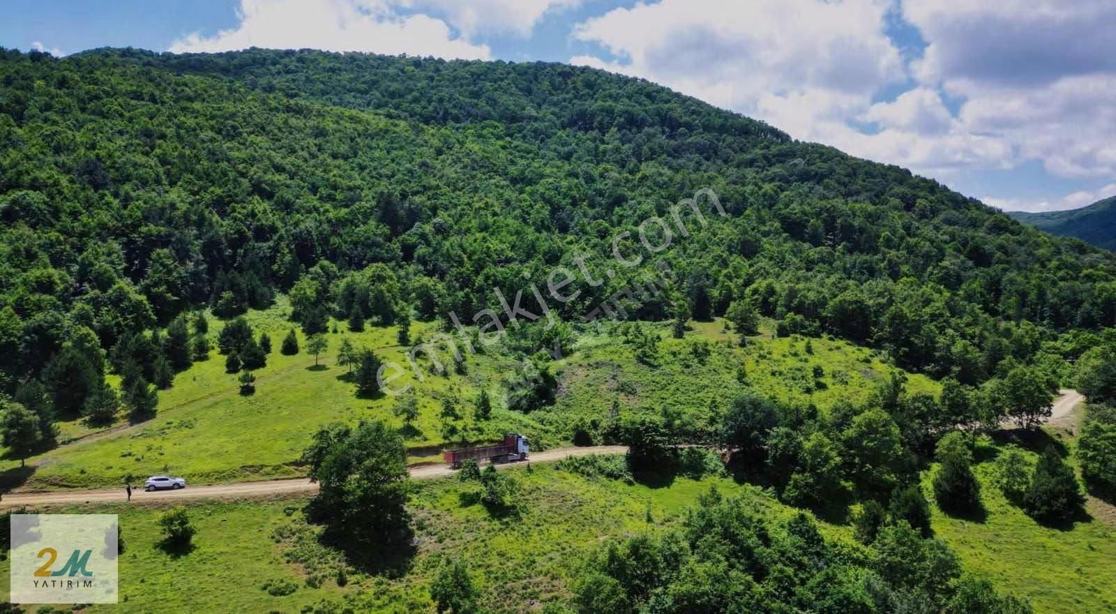 2m Yayırım'dan İznik Müşküle Köyünde Çiftlik İçin Uygun Arazi - Görsel 2