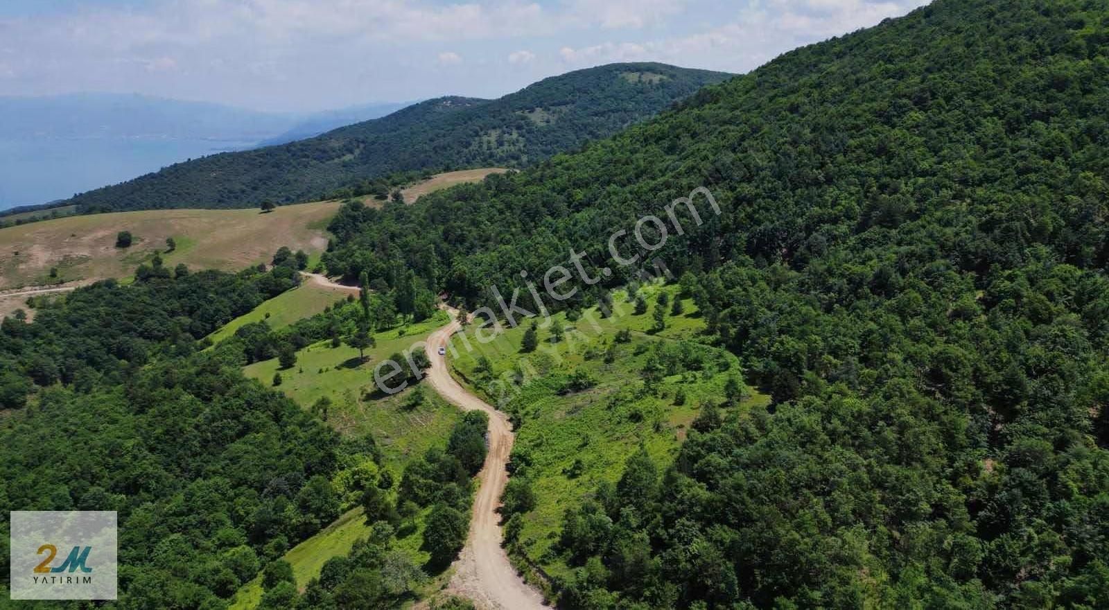 2m Yayırım'dan İznik Müşküle Köyünde Çiftlik İçin Uygun Arazi - Görsel 14