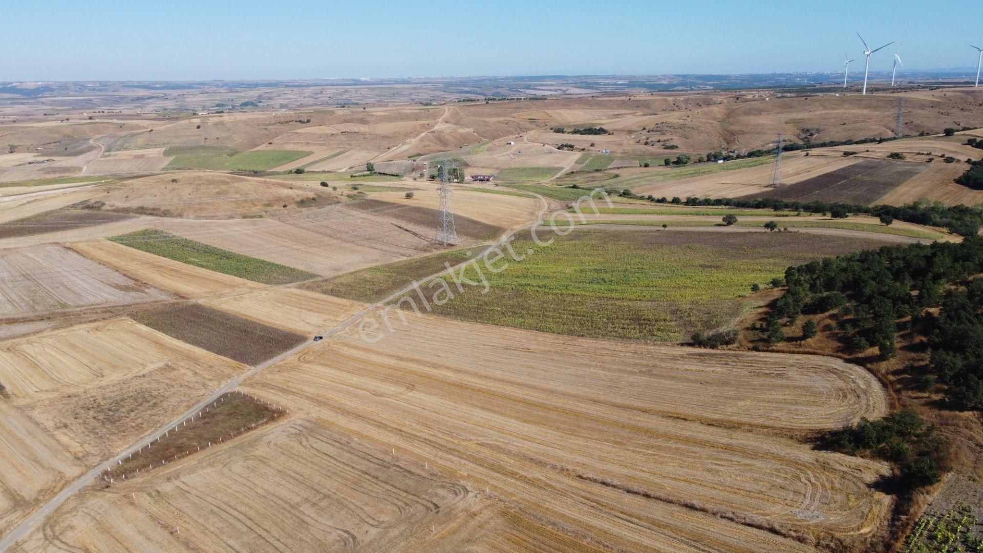 Silivri Değirmenköy Kadastral Yola Cephe 9.773 M2 Satılık Tarla - Görsel 11
