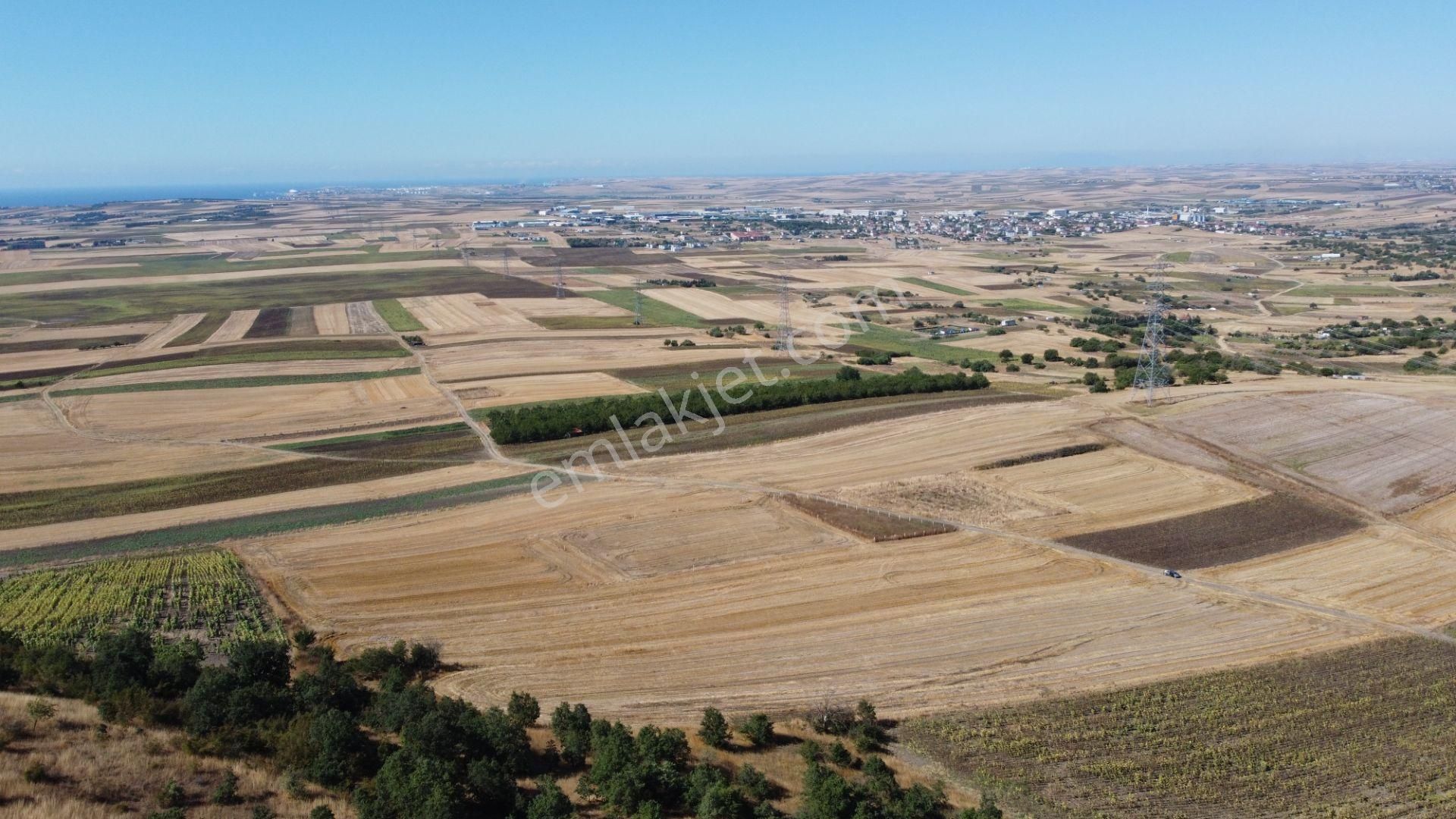 Silivri Değirmenköy Kadastral Yola Cephe 9.773 M2 Satılık Tarla - Görsel 15