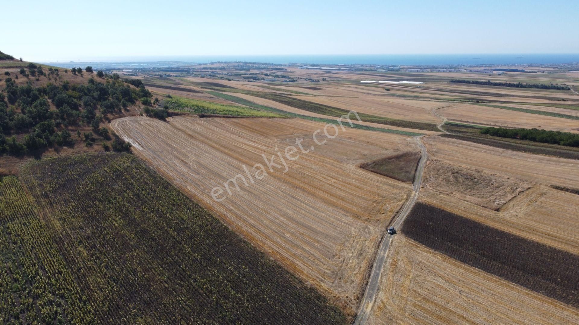 Silivri Değirmenköy Kadastral Yola Cephe 9.773 M2 Satılık Tarla - Görsel 8