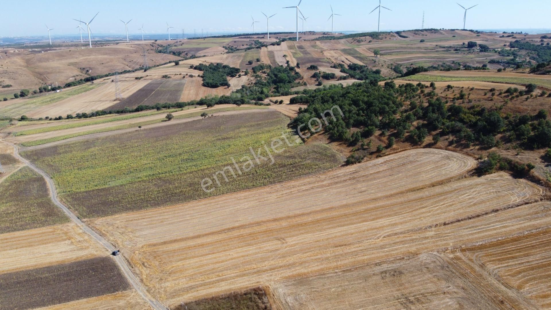 Silivri Değirmenköy Kadastral Yola Cephe 9.773 M2 Satılık Tarla - Görsel 22