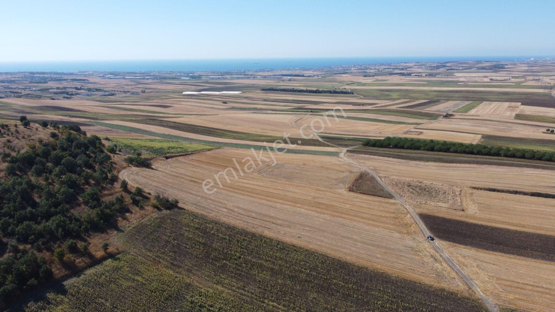 Silivri Değirmenköy Kadastral Yola Cephe 9.773 M2 Satılık Tarla - Görsel 12