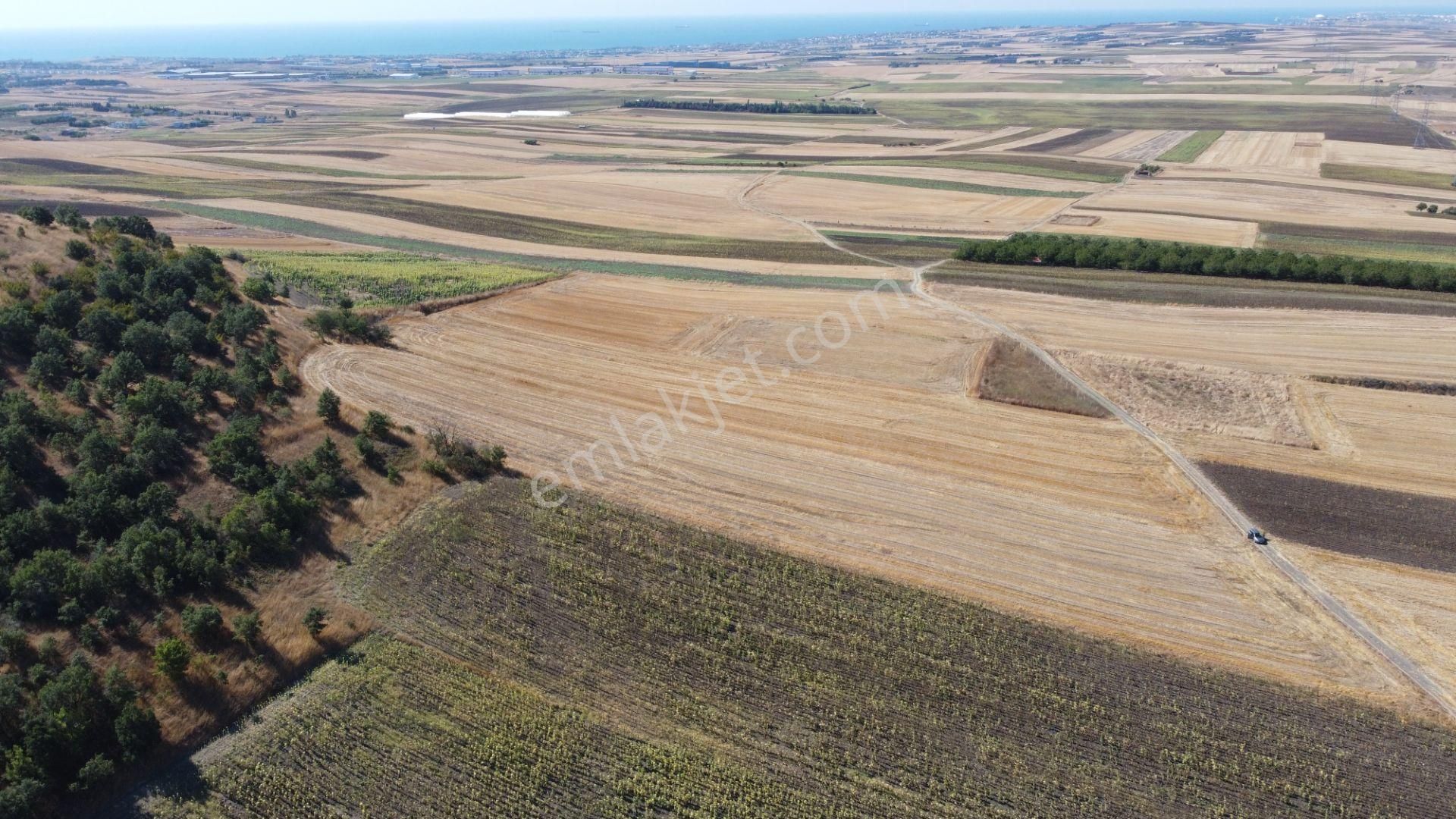 Silivri Değirmenköy Kadastral Yola Cephe 9.773 M2 Satılık Tarla - Görsel 20