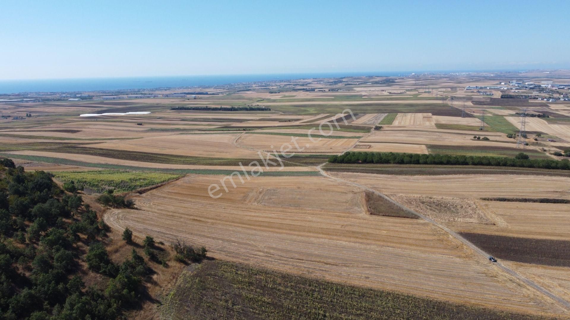Silivri Değirmenköy Kadastral Yola Cephe 9.773 M2 Satılık Tarla - Görsel 18