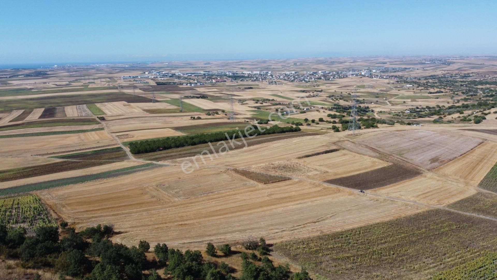 Silivri Değirmenköy Kadastral Yola Cephe 9.773 M2 Satılık Tarla - Görsel 14