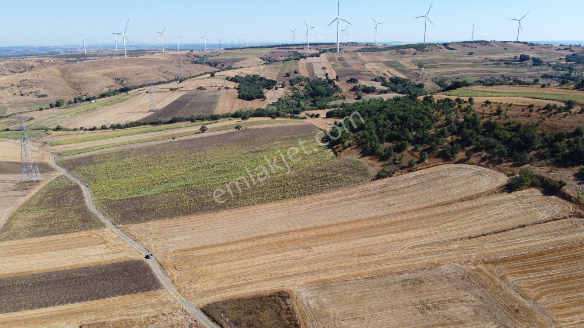 Silivri Değirmenköy Kadastral Yola Cephe 9.773 M2 Satılık Tarla - Görsel 17