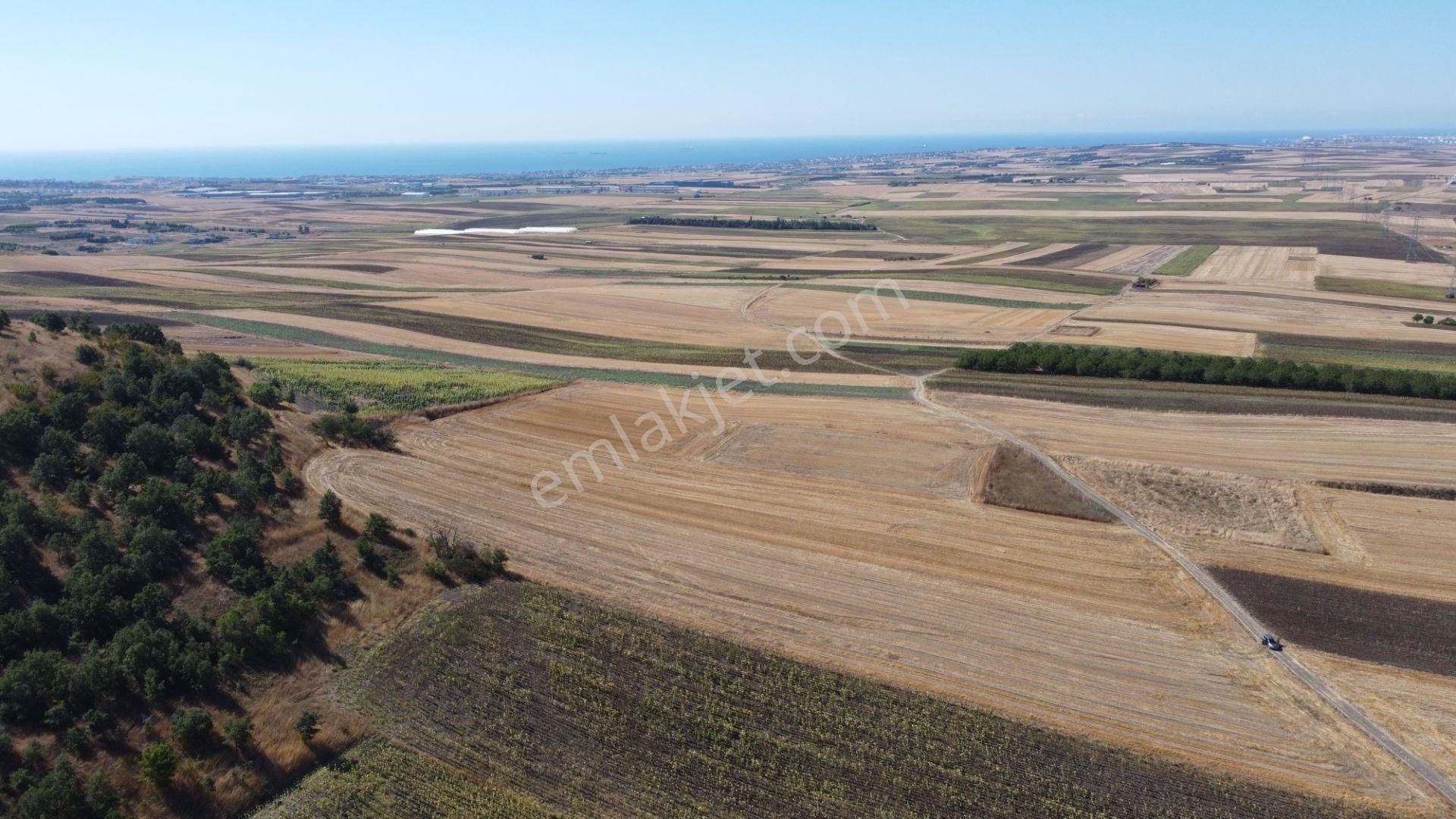 Silivri Değirmenköy Kadastral Yola Cephe 9.773 M2 Satılık Tarla - Görsel 19