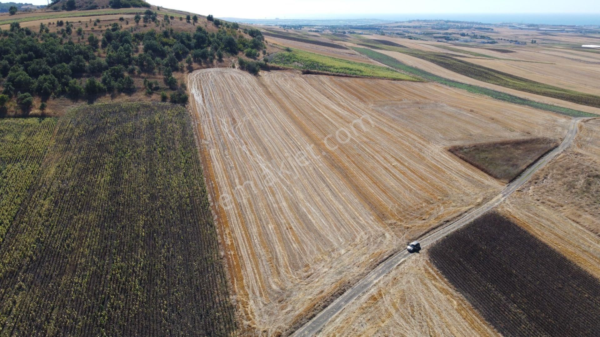 Silivri Değirmenköy Kadastral Yola Cephe 9.773 M2 Satılık Tarla - Görsel 7