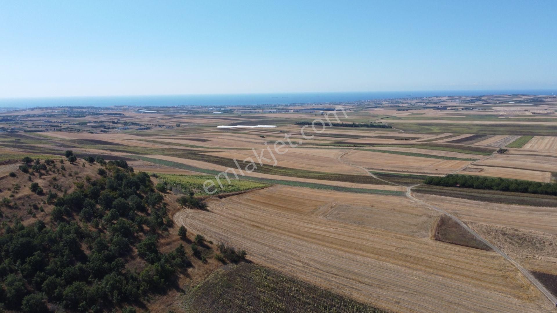 Silivri Değirmenköy Kadastral Yola Cephe 9.773 M2 Satılık Tarla - Görsel 21